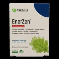 Quercus Enerzen Comp 30 - thumbnail