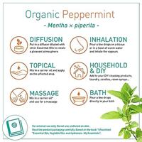 Puressentiel Eo Pepermunt Bio 30ml - thumbnail