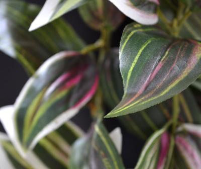 Tradescantia kunst hangplant 100cm - bont