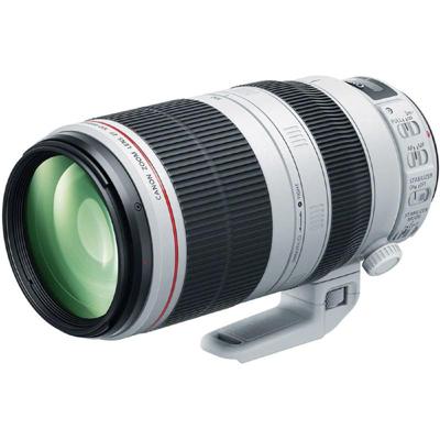 Canon EF 100-400mm F/4.5-5.6 L IS USM II (draaizoom) + ET-83D zonnekap