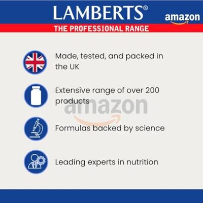 Lamberts Vitamine E 400ie Capsules - thumbnail