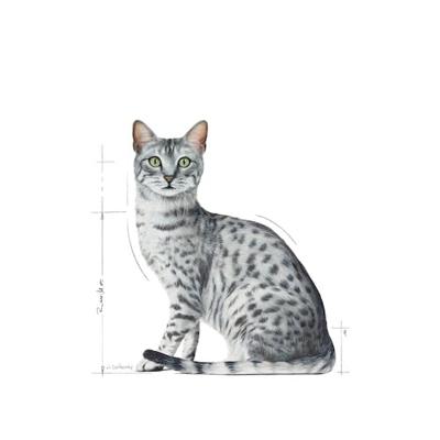ROYAL CANIN Indoor Sterilized - Nat kattenvoer - Stukjes in saus 12x85 g
