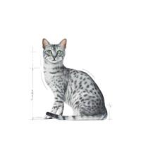 ROYAL CANIN Indoor Sterilized - Nat kattenvoer - Stukjes in saus 12x85 g - thumbnail