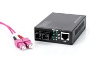 Digitus DN-82020-1 Netwerk mediaconverter LAN, SC Simplex 100 MBit/s - thumbnail