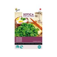 Zaden Xotica Koriander Buzzy - Buzzy - thumbnail