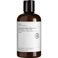 Evolve Organic Beauty Superfood Shine Conditioner 250ml - thumbnail