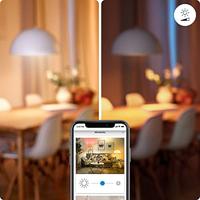 WiZ Goldline lampenbol 6,5W - E27 - Led 929003018501 - thumbnail