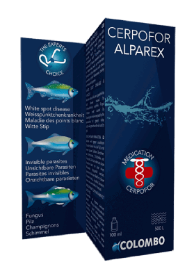Cerpofor Alparex 100 Ml-500 Liter vijver SuperFish - Superfish Cerpofor Alparex 100 Ml-500 Liter vijver SuperFish - Superfish
