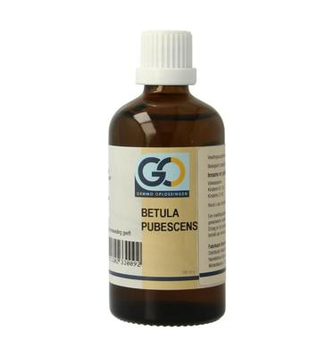 Betula pubescens bio 100 Milliliter