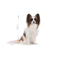 Royal Canin X-small adult 8+ hondenvoer 1.5kg - thumbnail