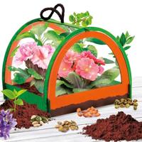 Botanie Ontdekking - Wetenschappelijke Kit - IK BEN EEN GENIUS POCKET - Miniatuurkas, Botanische Experimenten - thumbnail