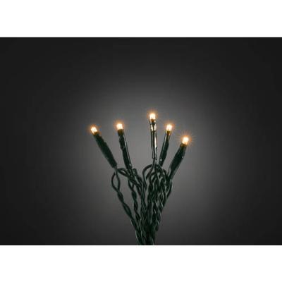 Micro LED lichtsnoer groen met 100 extra warm witte lampen