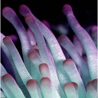 Wanddecoratie Wonderful Life 021 74x74cm - thumbnail