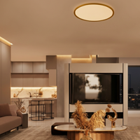 Lyora PlafonniereAoton goud Ø 60cm - 9030513 - thumbnail