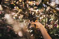 Fiskars Powerstep 1-2-3 snoeischaar aambeeld - 1000575 - 1000575 - thumbnail