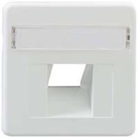 Rutenbeck Centraal stuk 1-voudig UAE-Cat. 8 1 stuk(s) - thumbnail