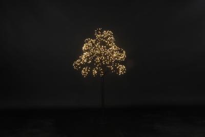Kerstboom LED Dorion S zwart Countryfield - Countryfield Kerstboom LED Dorion S zwart Countryfield - Countryfield