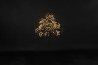 Kerstboom LED Dorion S zwart Countryfield - Countryfield - thumbnail
