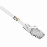 Renkforce RF-5043830 RJ45 Netwerkkabel, patchkabel CAT 5e U/UTP 1.00 m Wit Snagless 1 stuk(s) - thumbnail