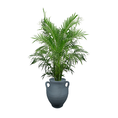 35L grijze plantenbak - Prestige Athene - Prestige 35L grijze plantenbak - Prestige Athene - Prestige