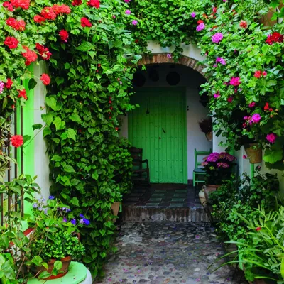 Alexsar Art Tuinschilderij bloemen deur 70x70cm