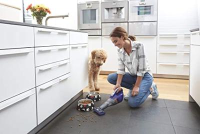 BLACK+DECKER DVB315JP 12V 1.5Ah PET Kruimeldief met dierenborstel handstofzuiger BLACK+DECKER DVB315JP 12V 1.5Ah PET Kruimeldief met dierenborstel handstofzuiger