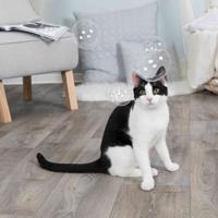 Trixie bellenblaas catnip - thumbnail