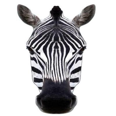 Masker zebra