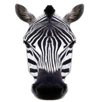 Masker zebra - thumbnail