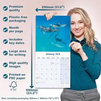 Dolfijnen Kalender 2026 - thumbnail