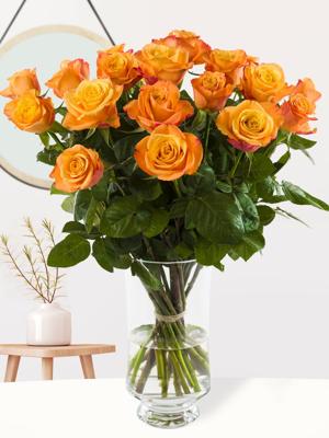 20 oranje rozen - Confidential