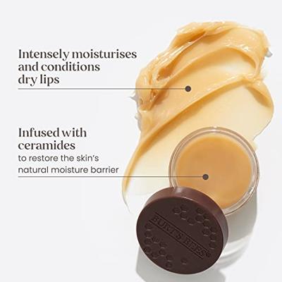Burt's Bees Overnight Intensive Lip Treatment
