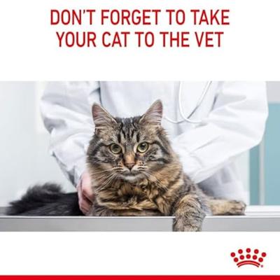 Royal Canin Light Weight Care natvoer kat (in gelei) 4 dozen (48 x 85 g) - thumbnail