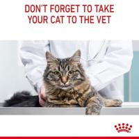 Royal Canin Light Weight Care natvoer kat (in gelei) 4 dozen (48 x 85 g) - thumbnail