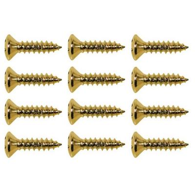 Boston TS-01-G schroeven voor slagplaat 12 stuks goud Boston TS-01-G schroeven voor slagplaat 12 stuks goud