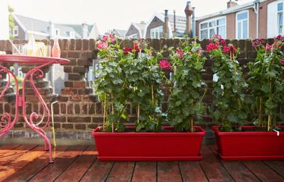 Barcelona Xl Allin1 55 taupe