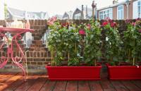 Barcelona Xl Allin1 55 taupe - thumbnail