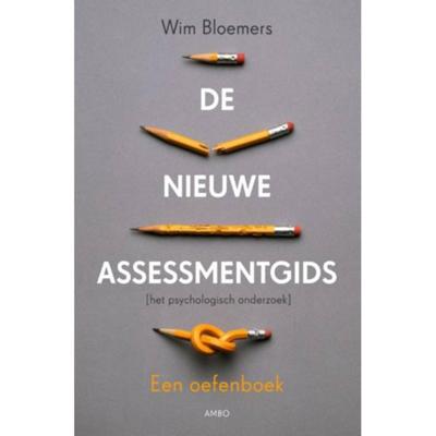 De nieuwe assessmentgids (Paperback)