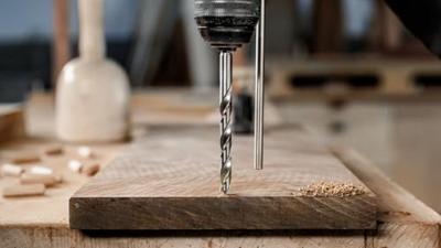 Bosch Accessoires PRO Wood Houtspiraalboor | 1/4" zeskantschacht | 10 x 87 x 133 mm - 2608577705