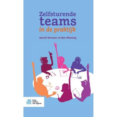 Zelfsturende teams in de praktijk (Paperback)