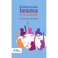 Zelfsturende teams in de praktijk (Paperback) - thumbnail