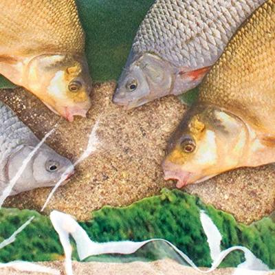 Zammataro Rotauge / Voorn 1kg