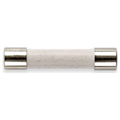 Gossen Metrawatt Z109P FF 0,315 A/1000 V Zekering 10 stuk(s) Gossen Metrawatt Z109P FF 0,315 A/1000 V Zekering 10 stuk(s)
