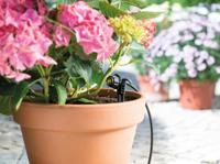 Hozelock 2772 Verdeelslang Ø 4 mm druppelsysteem - thumbnail