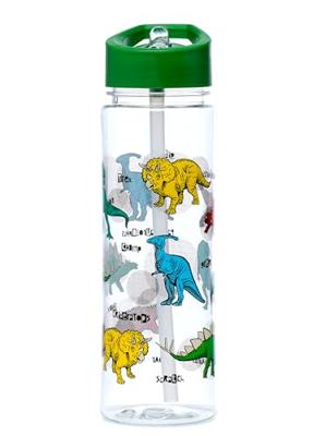 Dinosauria Ecozen Waterfles 550ml Flip Straw