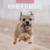 Border Terrier Kalender 2026 - thumbnail