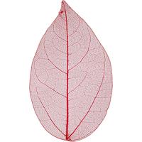 Creativ Company Skeleton leaves , l: 6-8 cm, rood, 20 stuk/ 1 doos - thumbnail