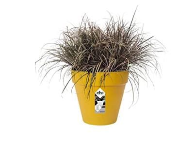 Elho pot loft urban rond 30cm geel - thumbnail