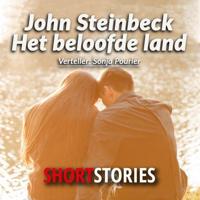 Tien verhalen uit Het beloofde land - thumbnail