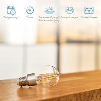 Shelly Vintage A60 ledlamp - thumbnail